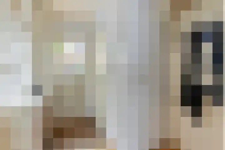 Julianalaan 41 Zwartewaal thumbnail 7