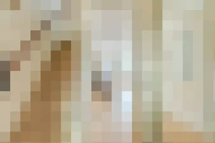 Julianalaan 41 Zwartewaal thumbnail 8