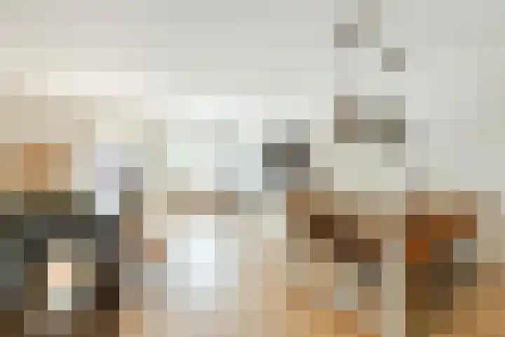 Julianalaan 41 Zwartewaal thumbnail 9