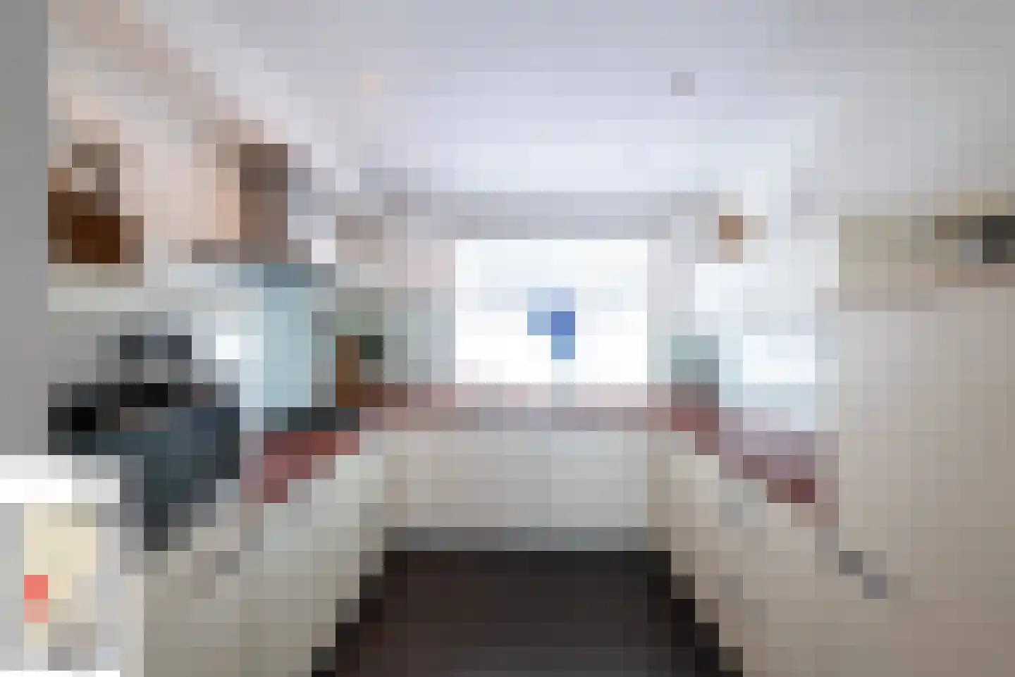 Julianalaan 43 Zwartewaal thumbnail 15