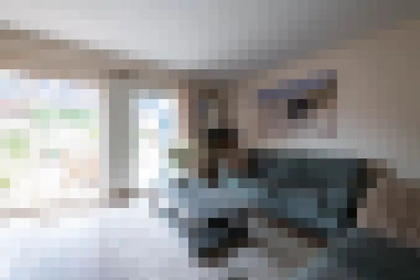 Julianalaan 43 Zwartewaal thumbnail 23