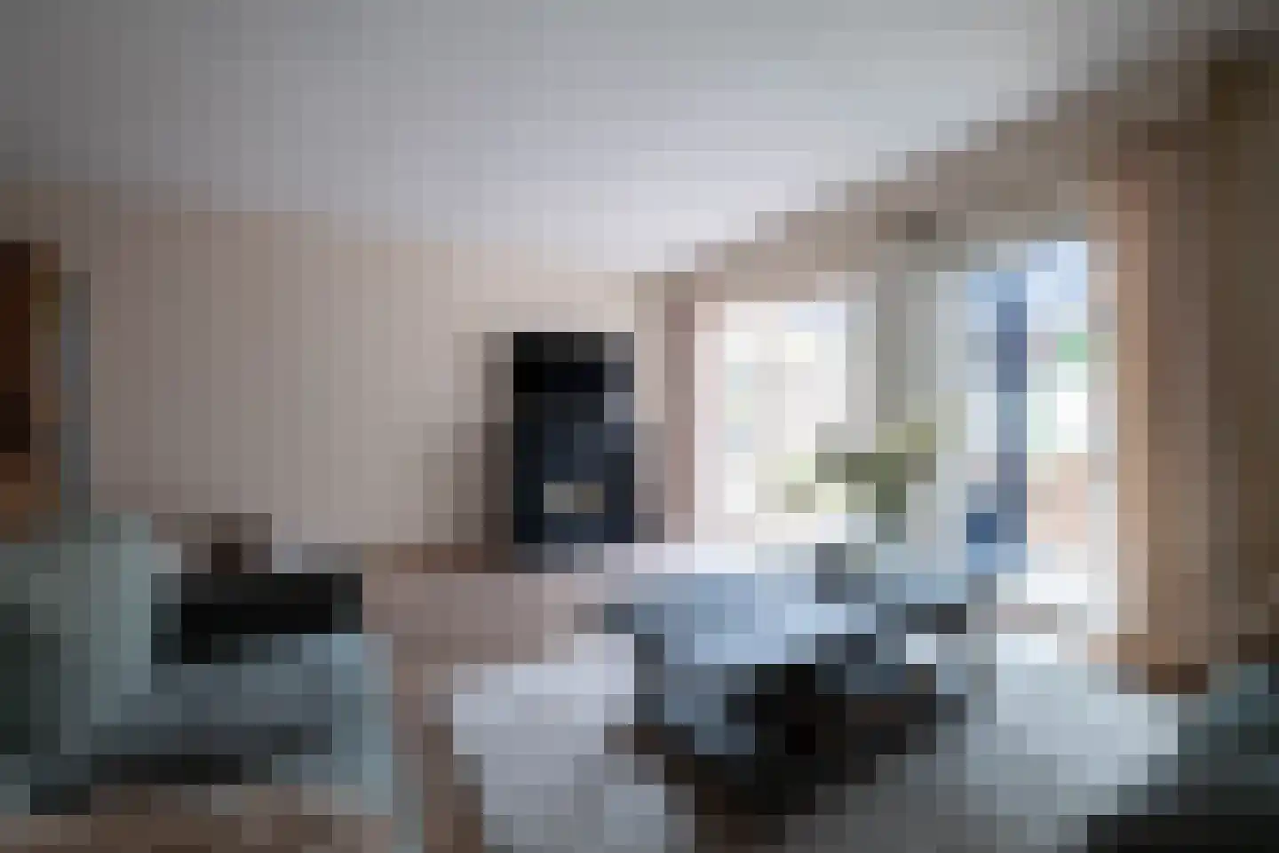 Julianalaan 43 Zwartewaal thumbnail 24