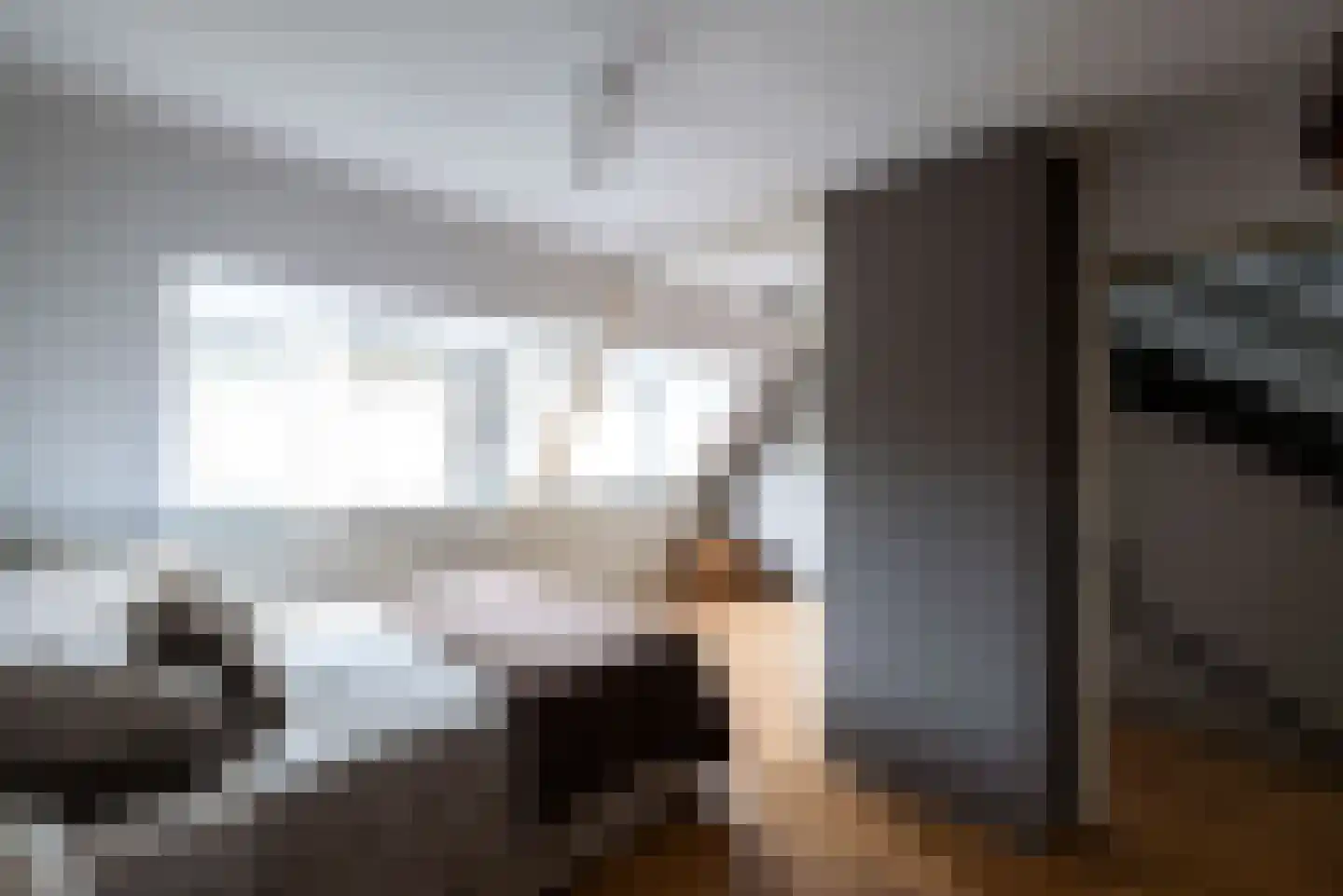 Julianalaan 43 Zwartewaal thumbnail 30