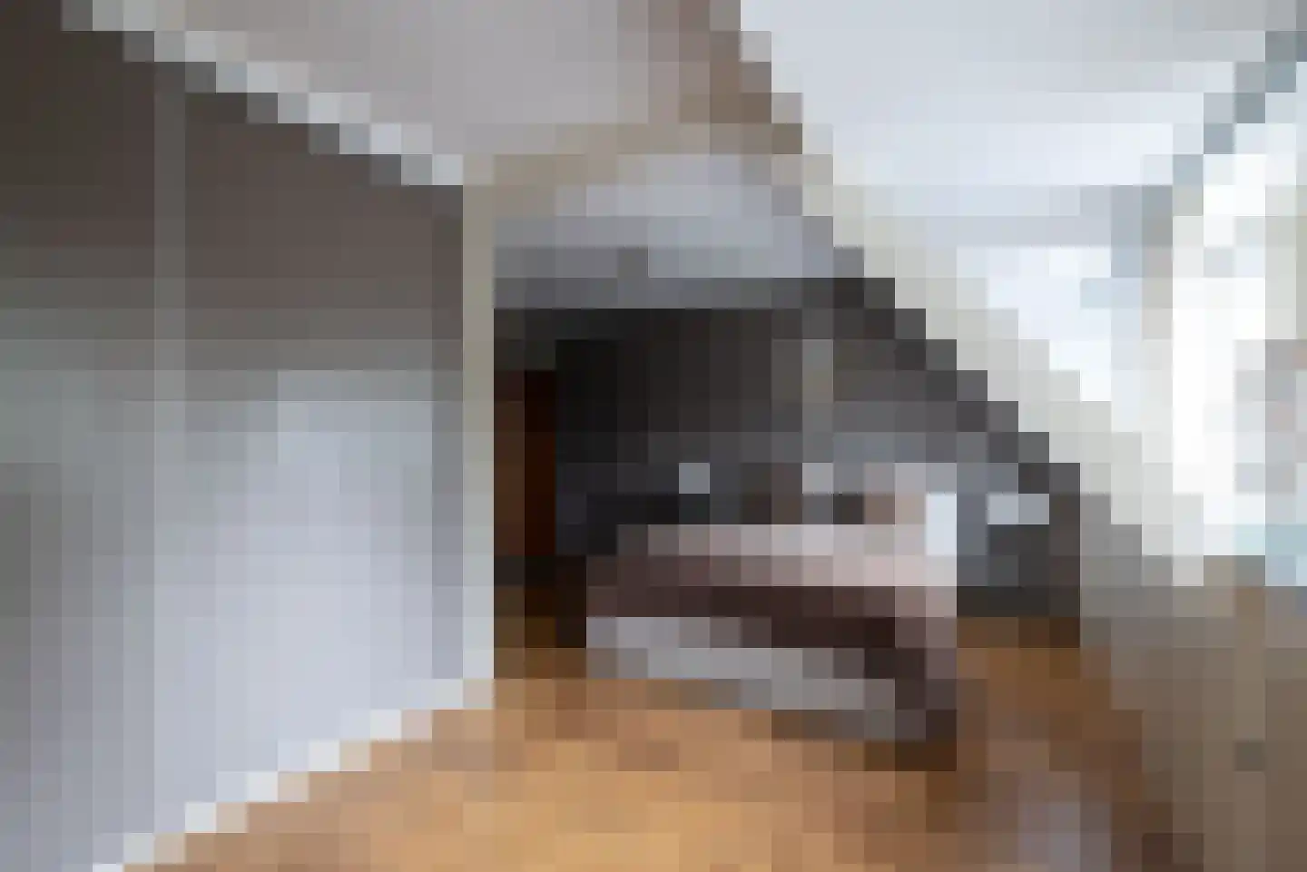 Julianalaan 43 Zwartewaal thumbnail 31