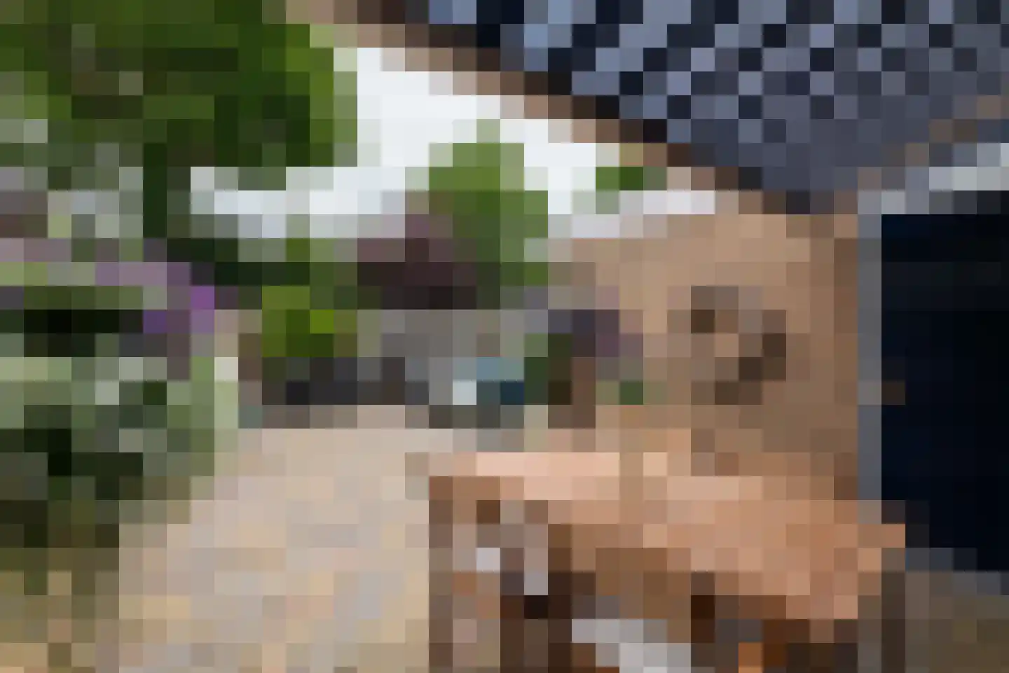 Julianalaan 43 Zwartewaal thumbnail 4