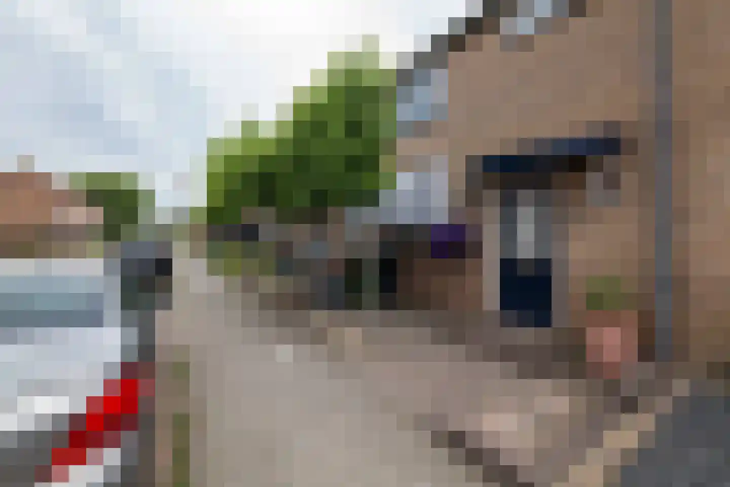 Julianalaan 43 Zwartewaal thumbnail 43