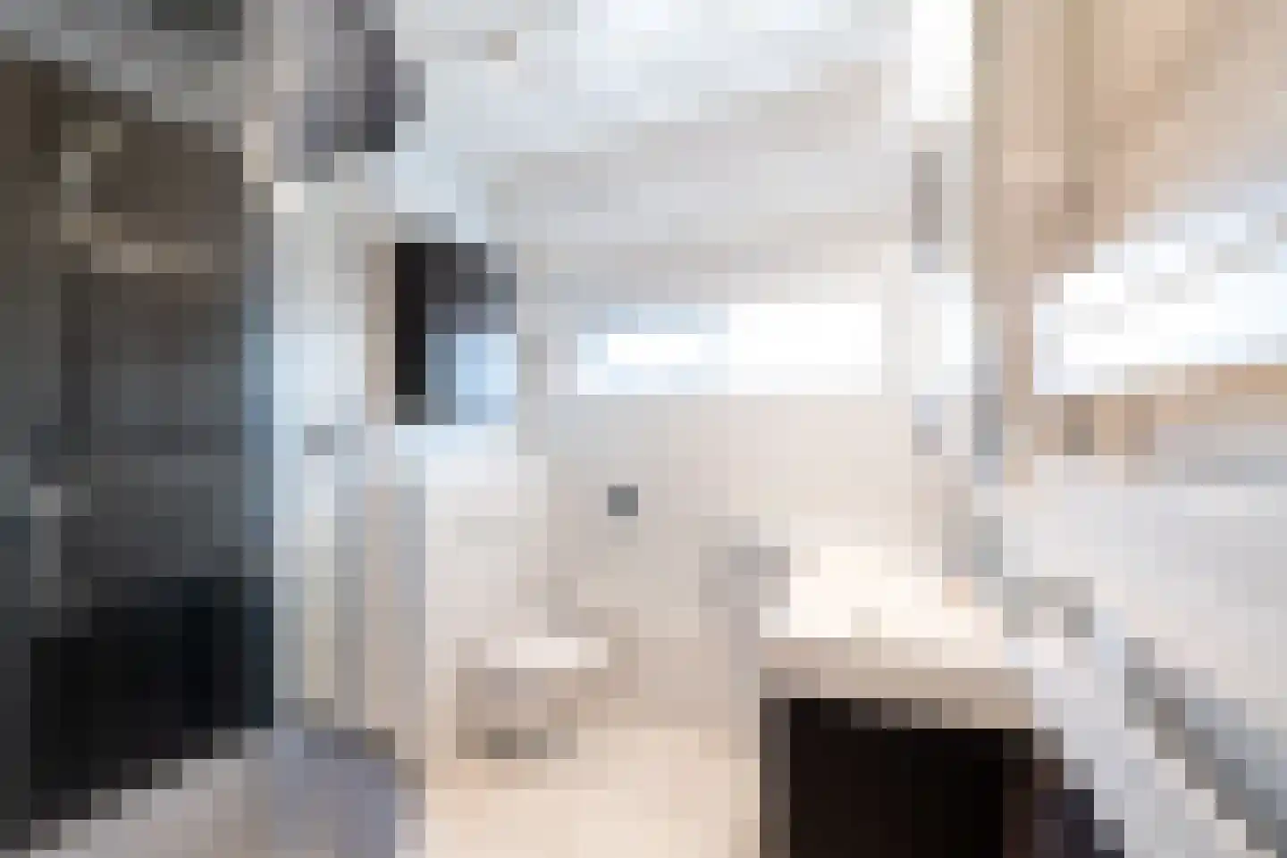 Julianalaan 43 Zwartewaal thumbnail 6