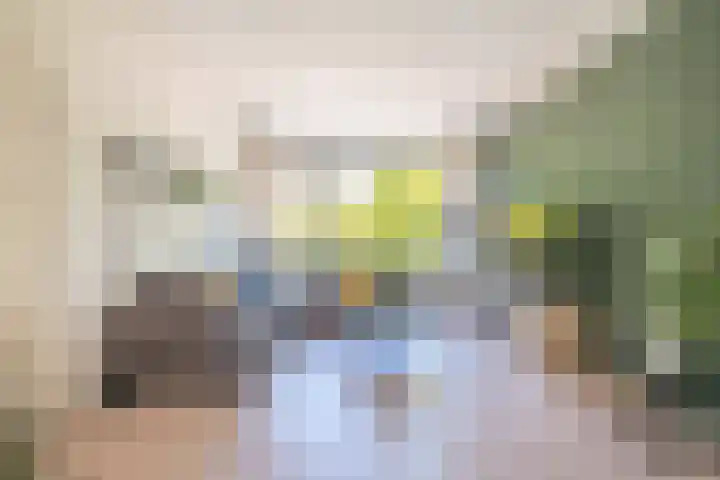 Julianalaan 47 b Leeuwarden thumbnail 15