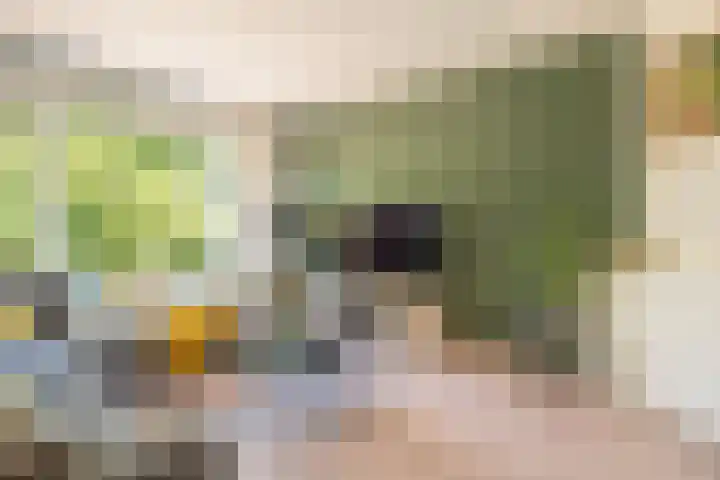 Julianalaan 47 b Leeuwarden thumbnail 19