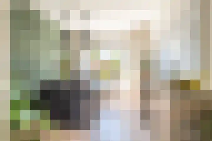 Julianalaan 47 b Leeuwarden thumbnail 20