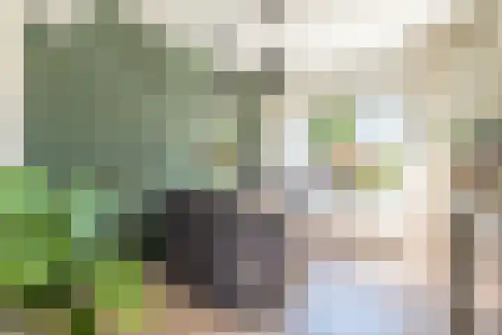 Julianalaan 47 b Leeuwarden thumbnail 21