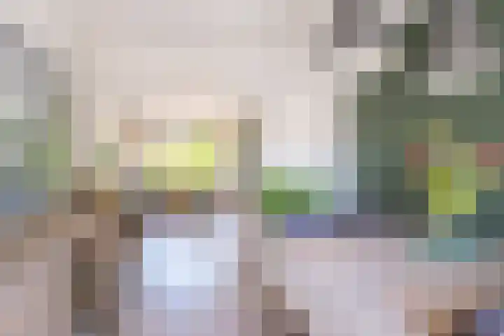 Julianalaan 47 b Leeuwarden thumbnail 22