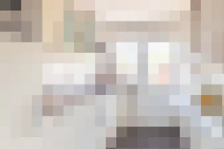 Julianalaan 47 b Leeuwarden thumbnail 24
