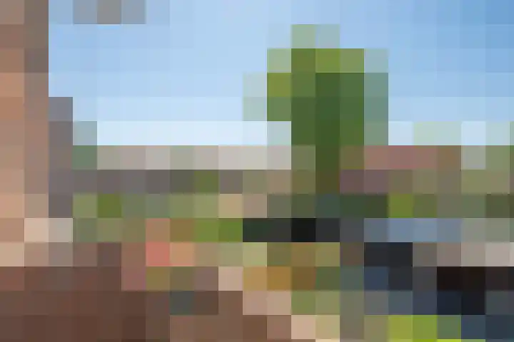Julianalaan 47 b Leeuwarden thumbnail 27