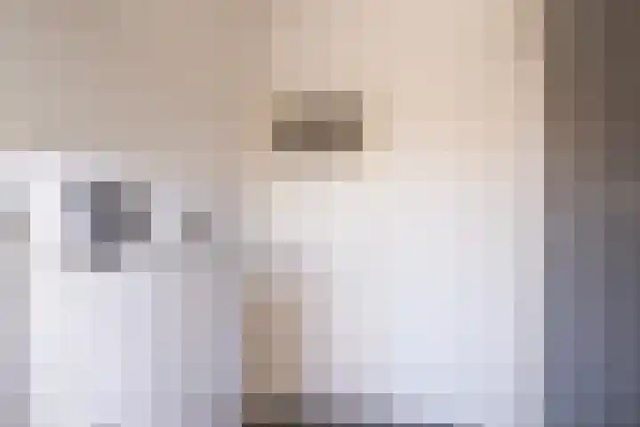 Julianalaan 47 b Leeuwarden thumbnail 35
