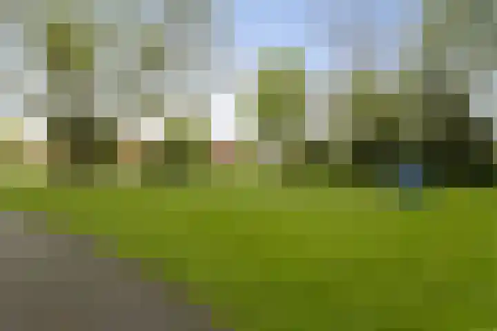 Julianalaan 47 b Leeuwarden thumbnail 37