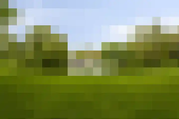 Julianalaan 47 b Leeuwarden thumbnail 38