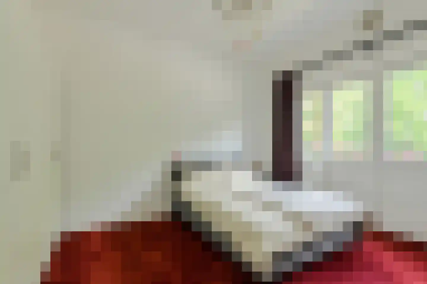 Julianalaan 47 Breda thumbnail 28