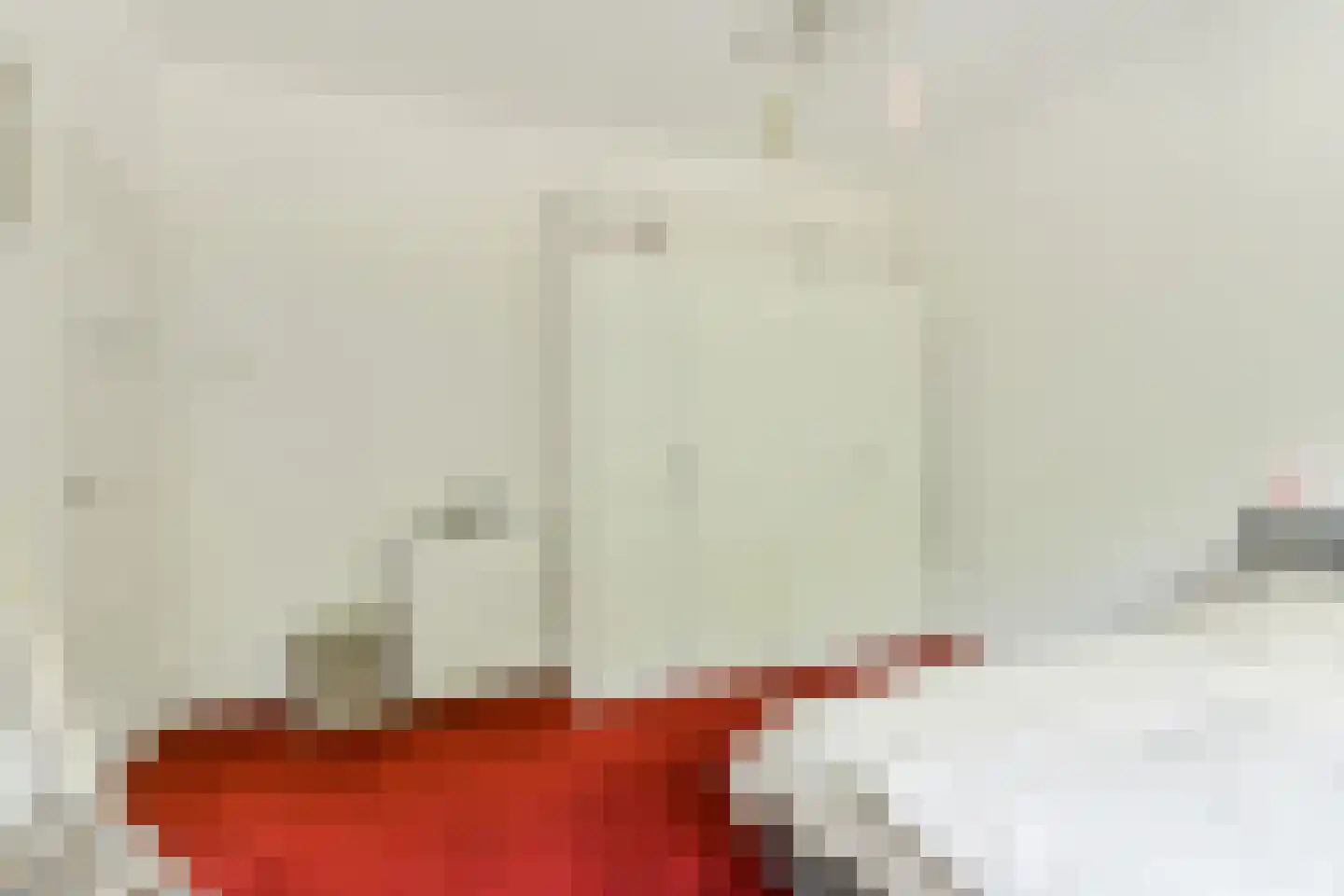 Julianalaan 47 Breda thumbnail 30