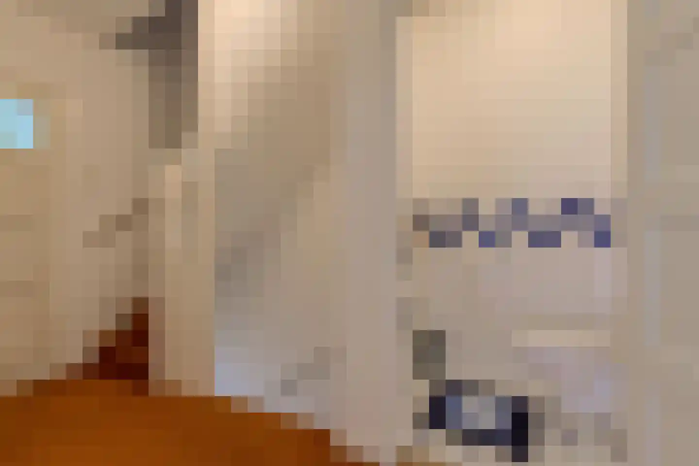 Julianalaan 47 Breda thumbnail 33