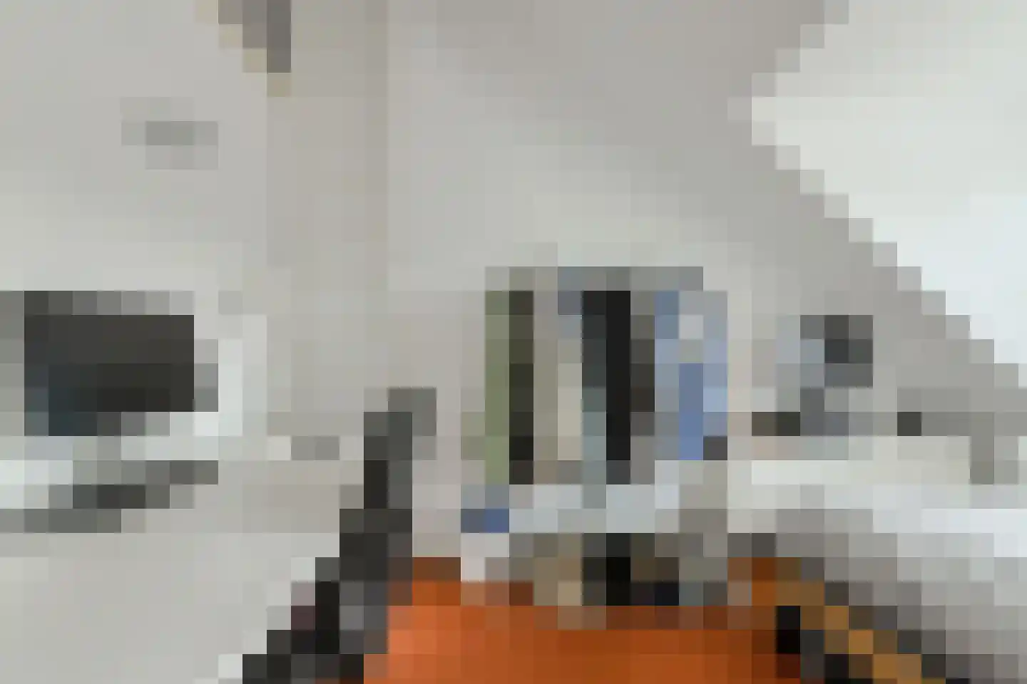 Julianalaan 47 Breda thumbnail 35