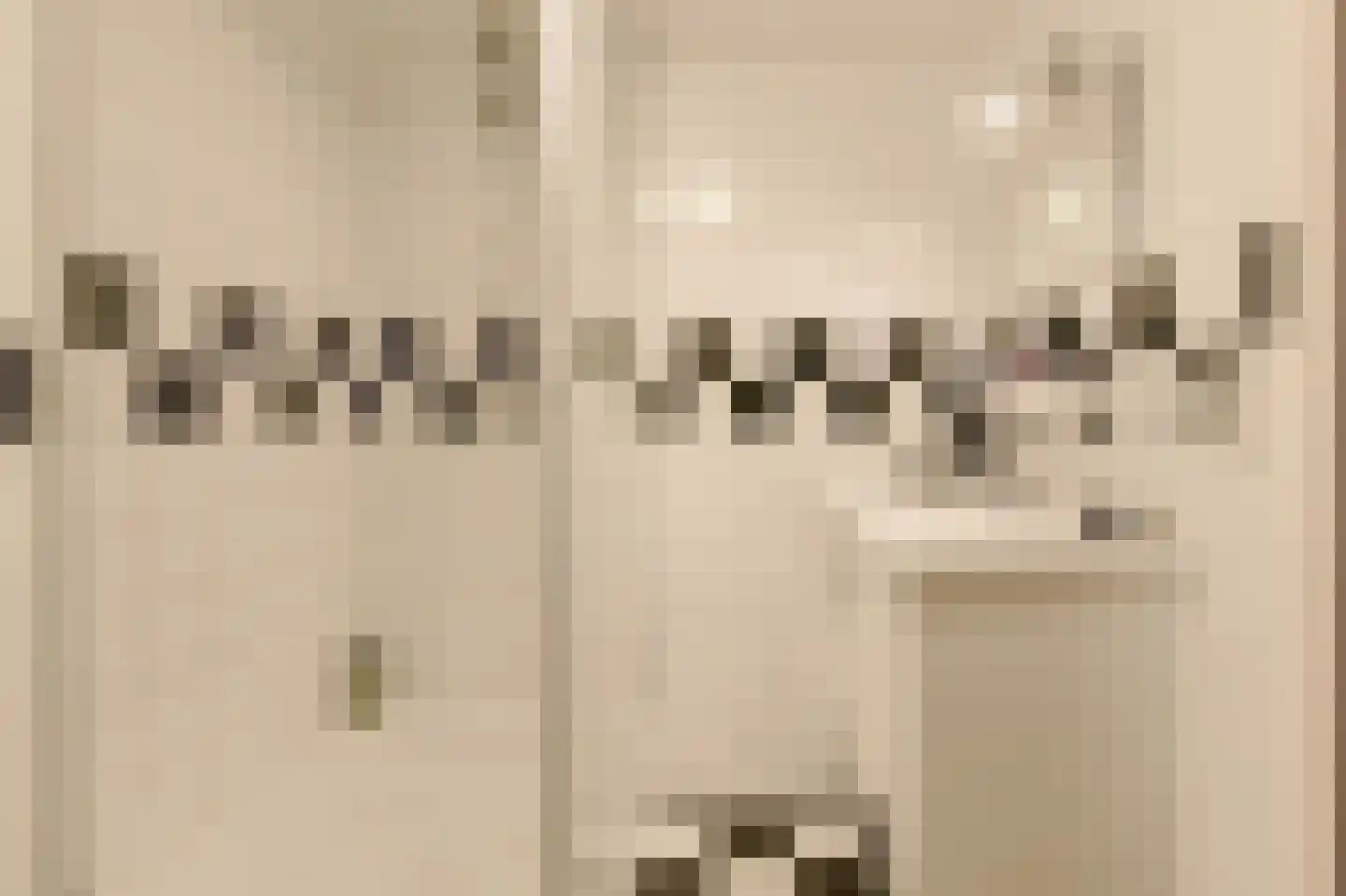 Julianalaan 47 Breda thumbnail 39