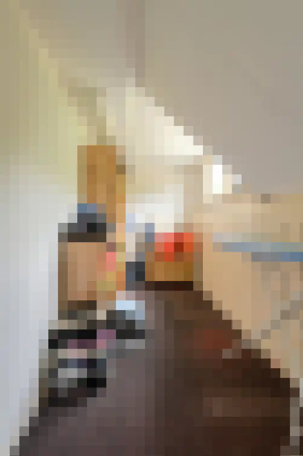 Julianalaan 47 Breda thumbnail 41