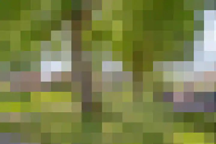 Julianalaan 47 Hoevelaken thumbnail 4