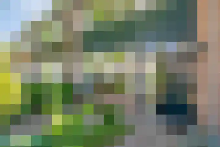 Julianalaan 47 Hoevelaken thumbnail 5