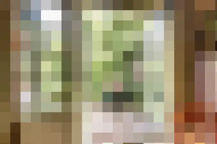 Julianalaan 47 Overveen thumbnail 15