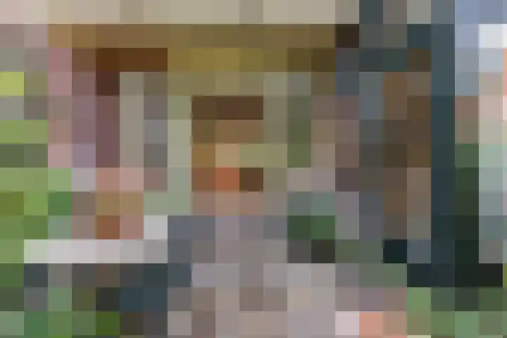 Julianalaan 47 Overveen thumbnail 16
