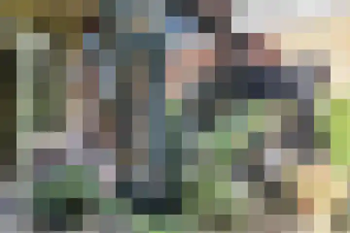 Julianalaan 47 Overveen thumbnail 17