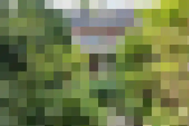 Julianalaan 47 Overveen thumbnail 18