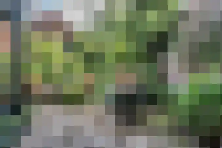 Julianalaan 47 Overveen thumbnail 19