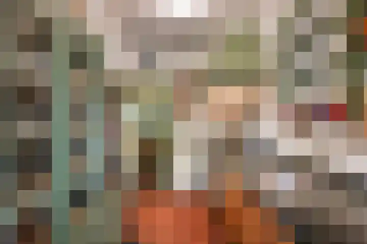 Julianalaan 47 Overveen thumbnail 20