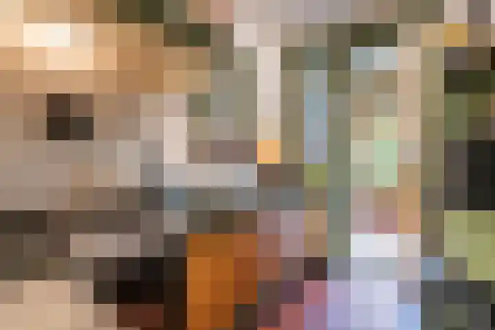Julianalaan 47 Overveen thumbnail 21