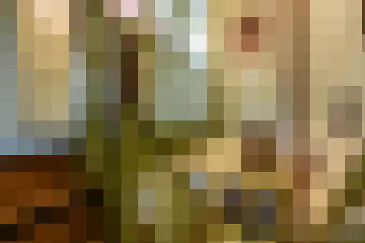 Julianalaan 47 Overveen thumbnail 24
