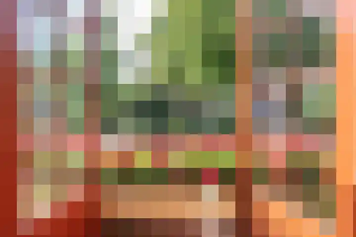 Julianalaan 47 Overveen thumbnail 31