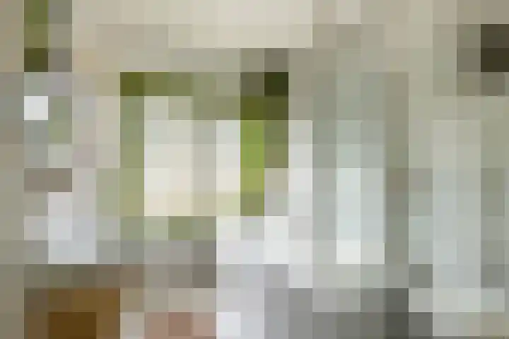 Julianalaan 47 Overveen thumbnail 35