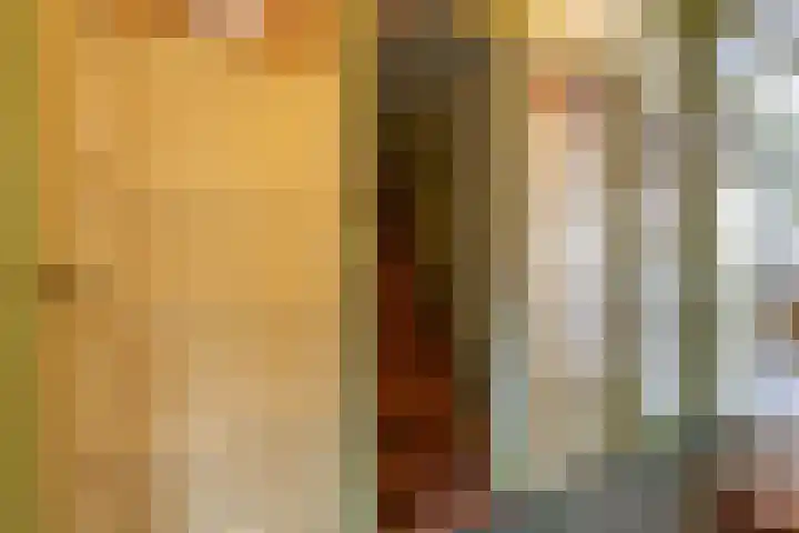 Julianalaan 47 Overveen thumbnail 36