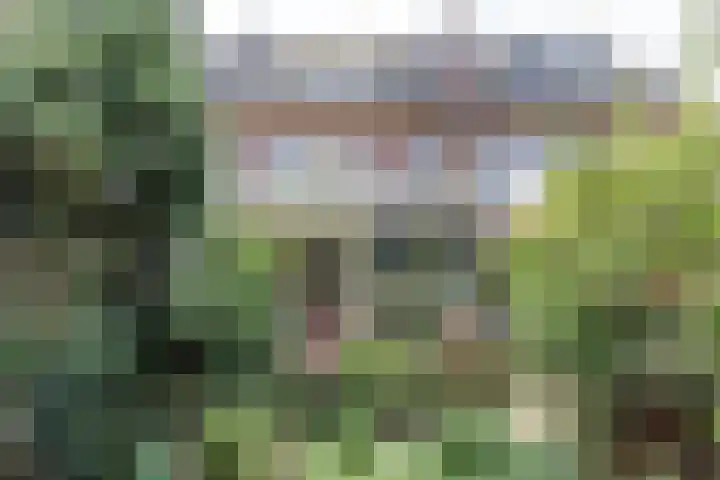 Julianalaan 47 Overveen thumbnail 4