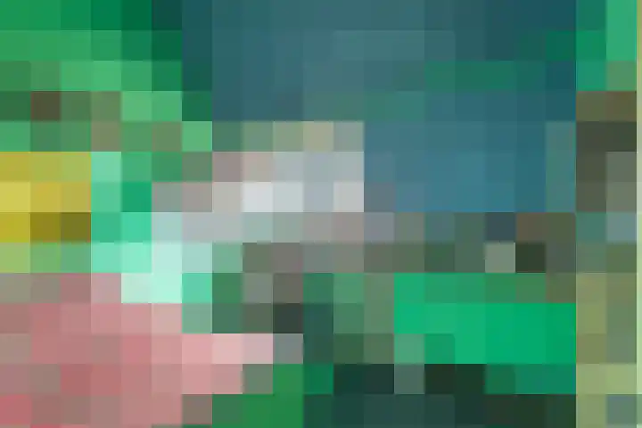 Julianalaan 47 Overveen thumbnail 40