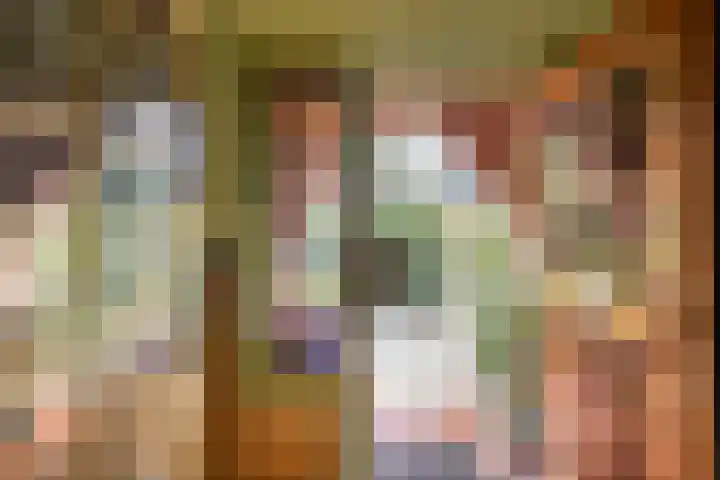 Julianalaan 47 Overveen thumbnail 41