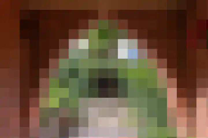 Julianalaan 47 Overveen thumbnail 42