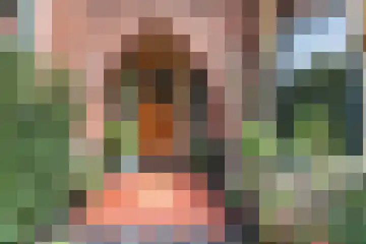 Julianalaan 47 Overveen thumbnail 7
