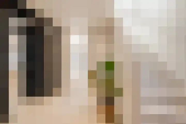 Julianalaan 48 Overveen thumbnail 10