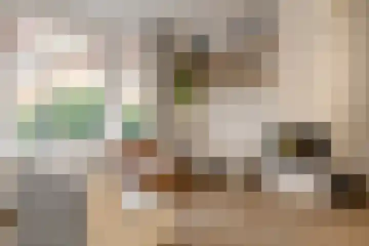 Julianalaan 48 Overveen thumbnail 18