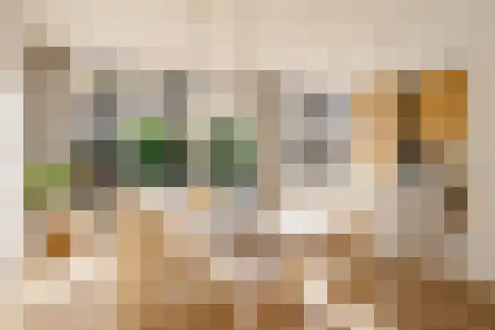 Julianalaan 48 Overveen thumbnail 20