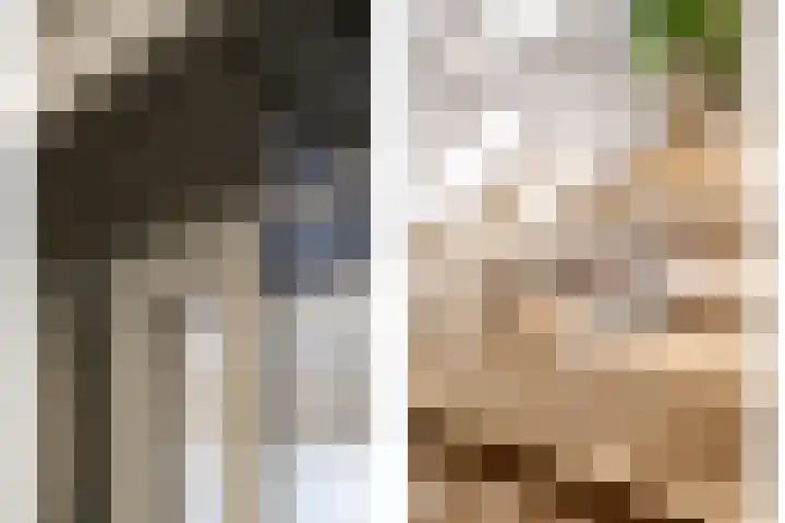 Julianalaan 48 Overveen thumbnail 21