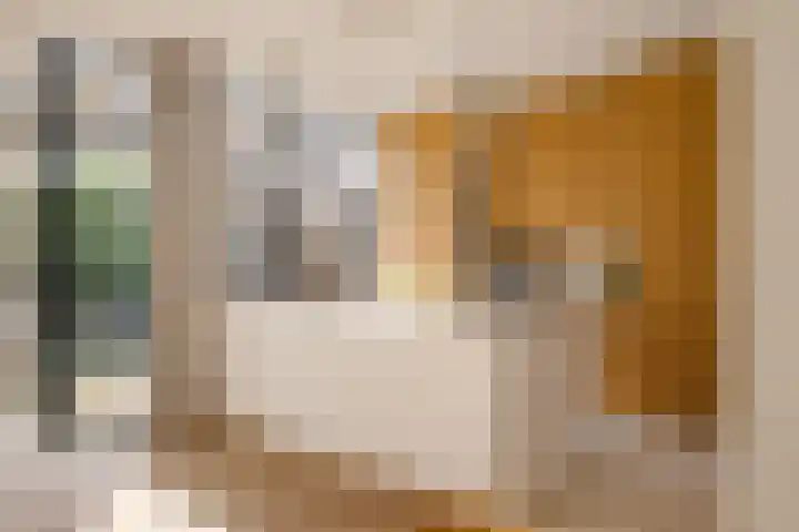 Julianalaan 48 Overveen thumbnail 23